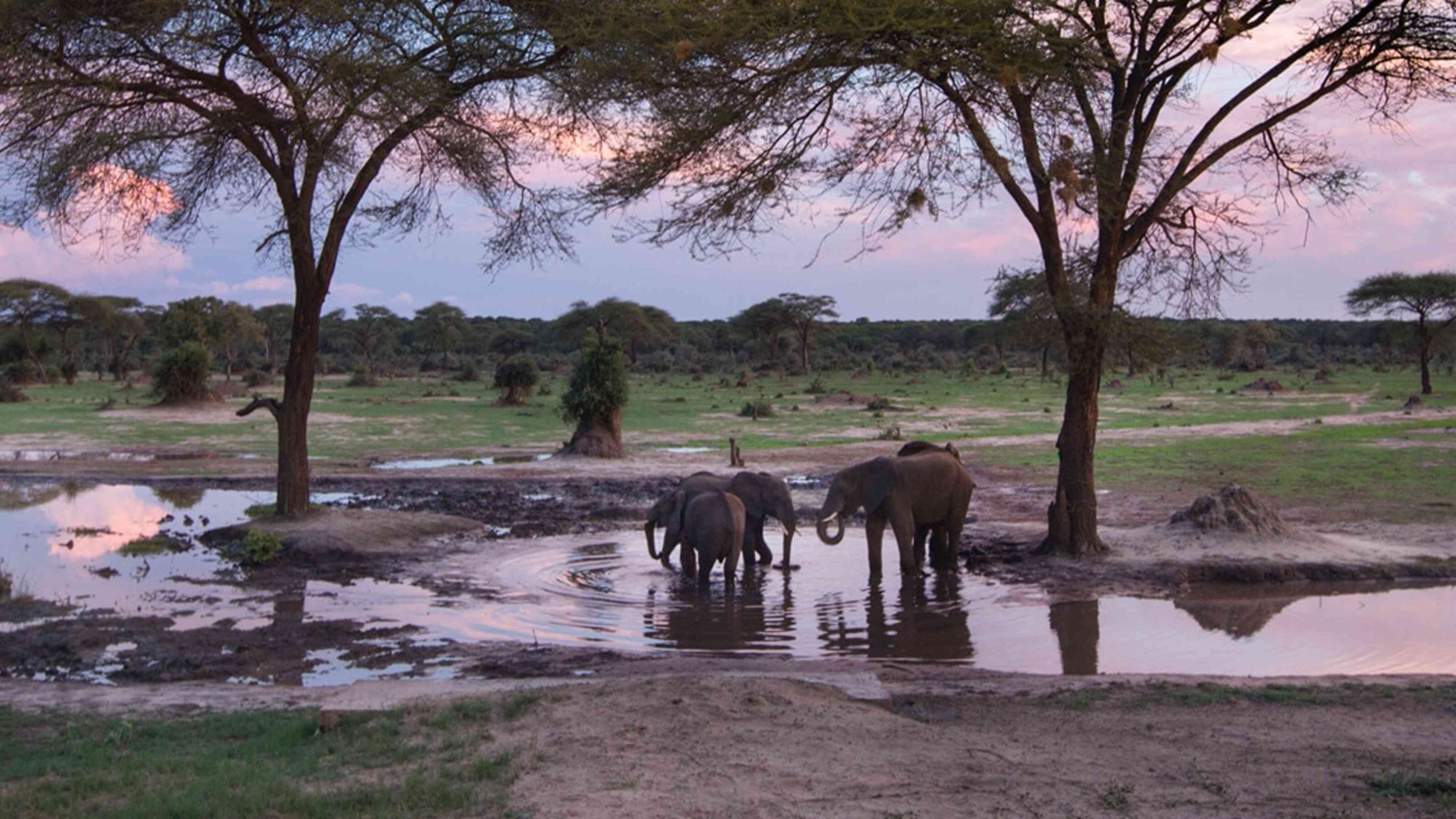 Hwange College of Education (22)