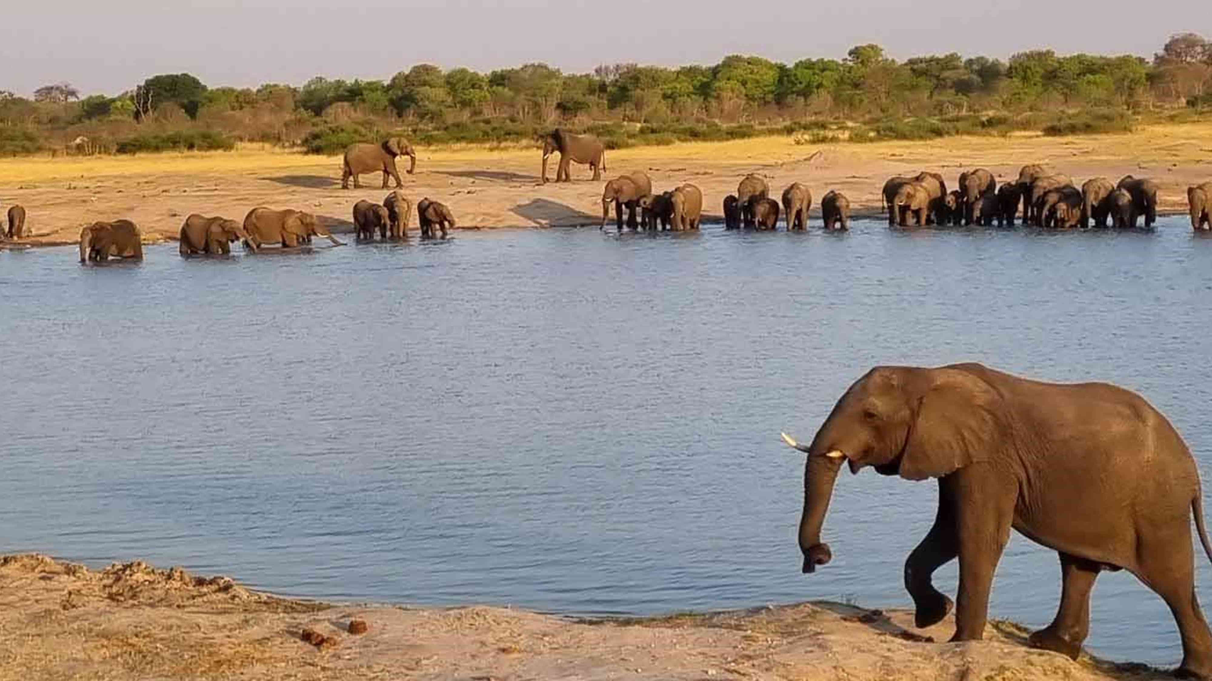 Hwange College of Education (23)